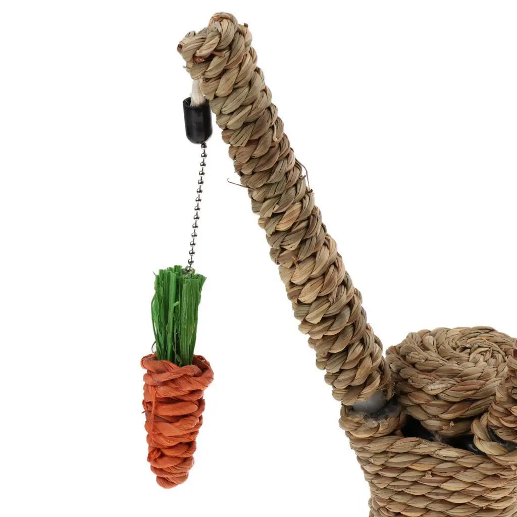 Carrot Carnival Cat Scratching Post