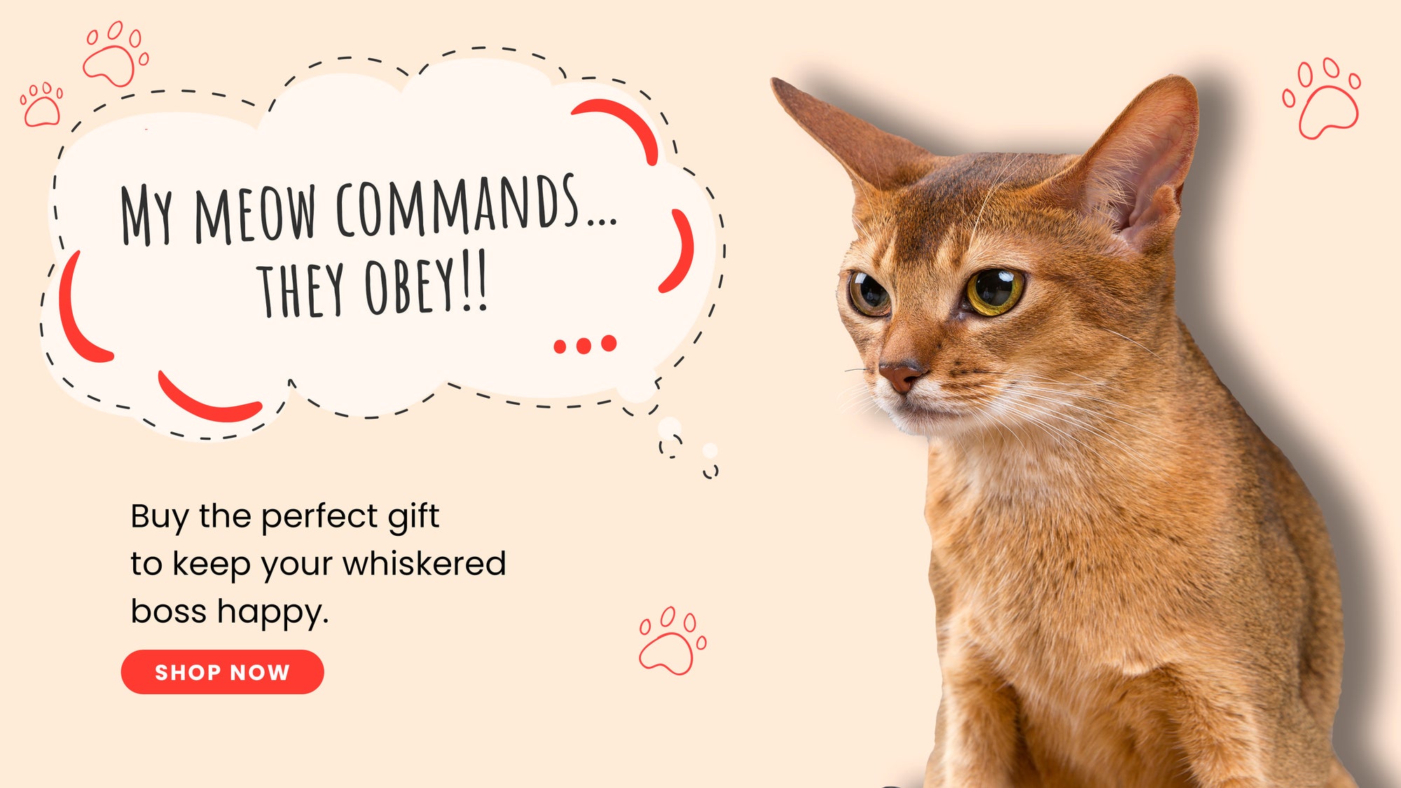 Online Cat Store for Cat Supplies, Care