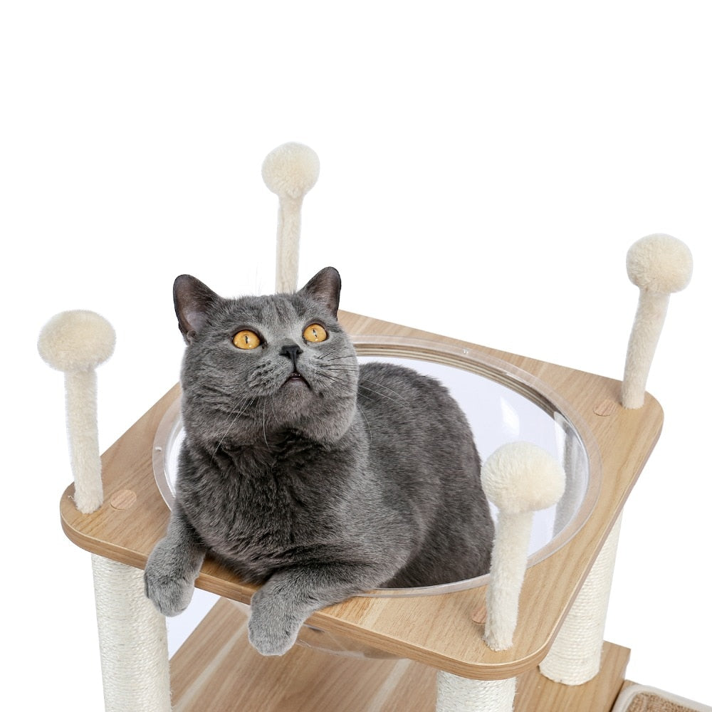 Cat Trees: Why Your Kitty Needs This Climbing Essential!