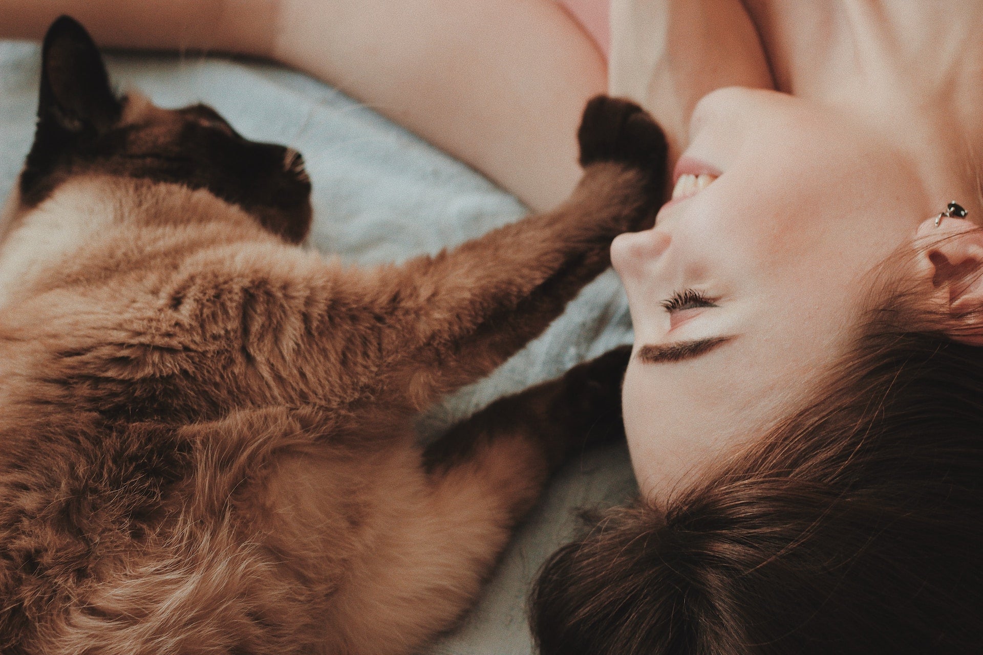 The Top 10 Gifts For Cat Lovers in 2024