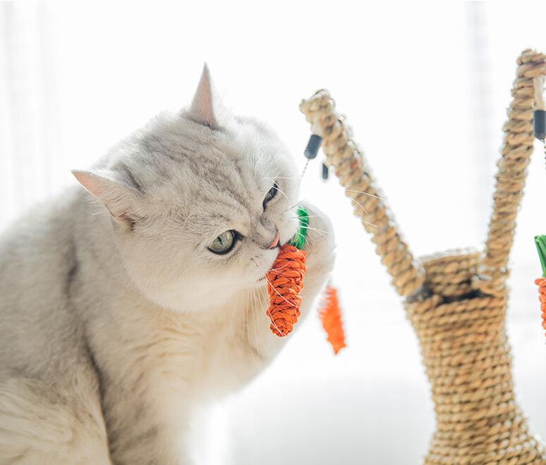 Carrot Carnival Cat Scratching Post