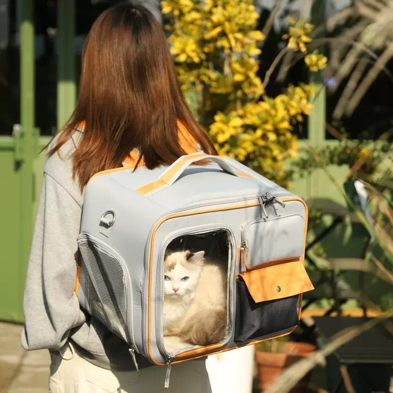 Viewfinder Cat Backpack