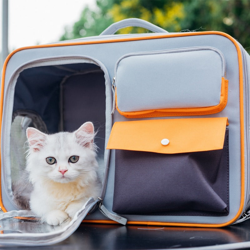 Viewfinder Cat Backpack