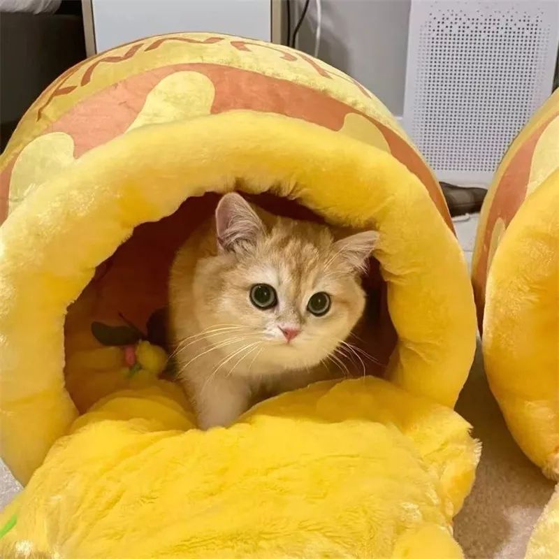 Cat in honey pot cat bed 