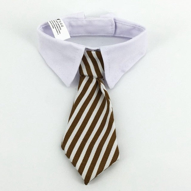 Corporate Kitty Neck Tie Collar