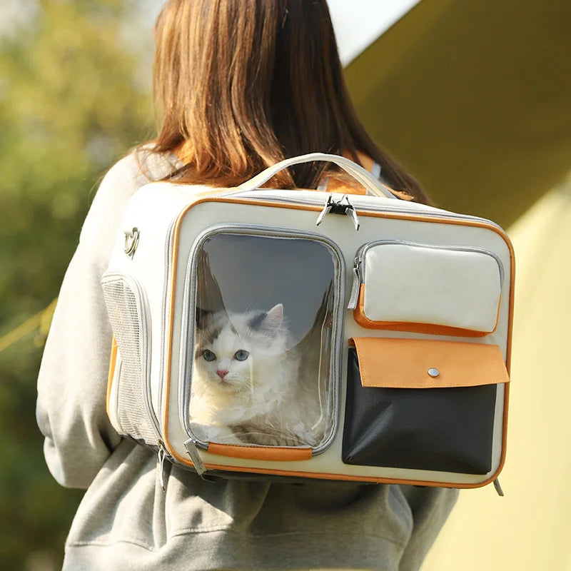 Viewfinder Cat Backpack