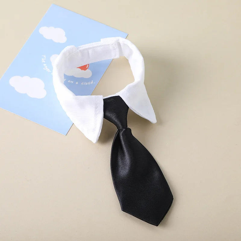 Corporate Kitty Necktie Collar