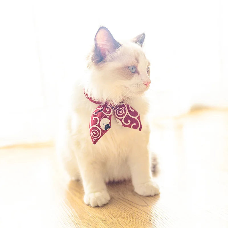 Kitty Bowtie Collar