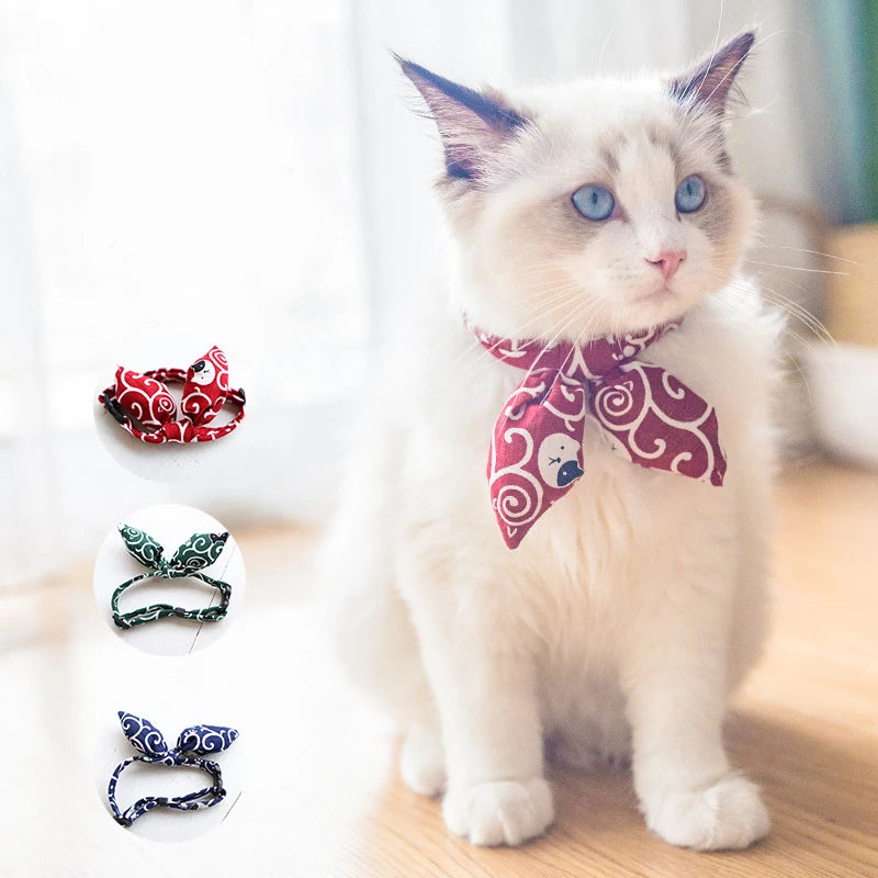 Kitty Bowtie Collar