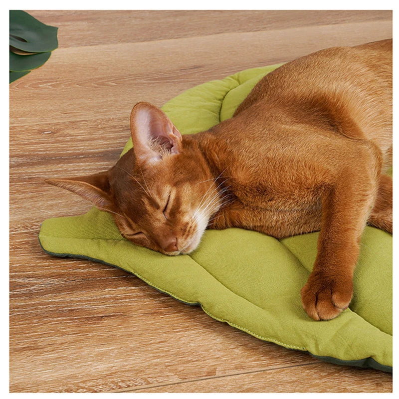 Leafy Lounge Cat Mat