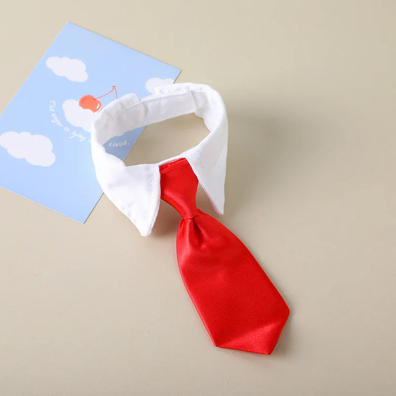 Corporate Kitty Necktie Collar