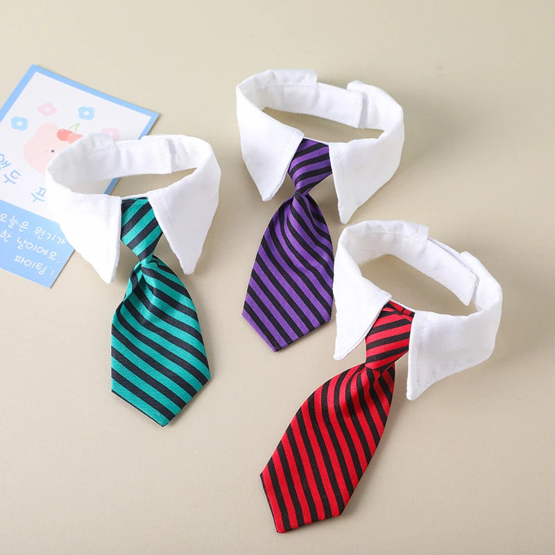 Corporate Kitty Necktie Collar