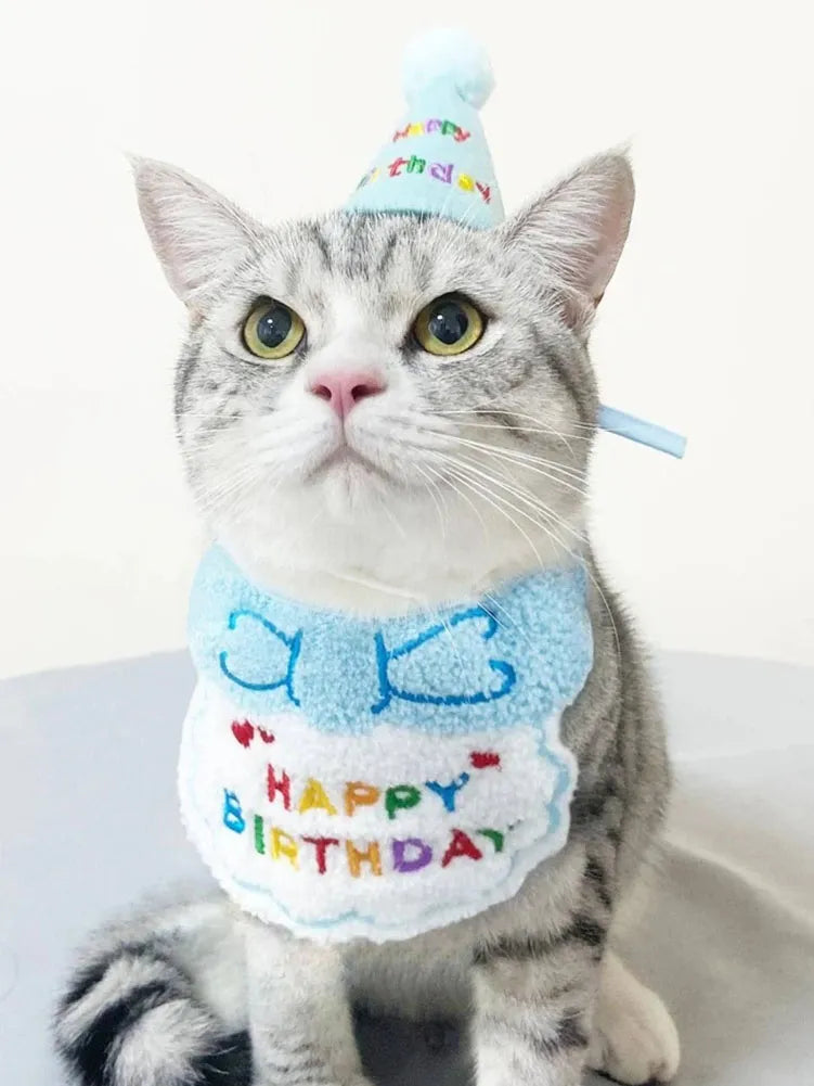 Kitty Birthday Hat & Bib Set