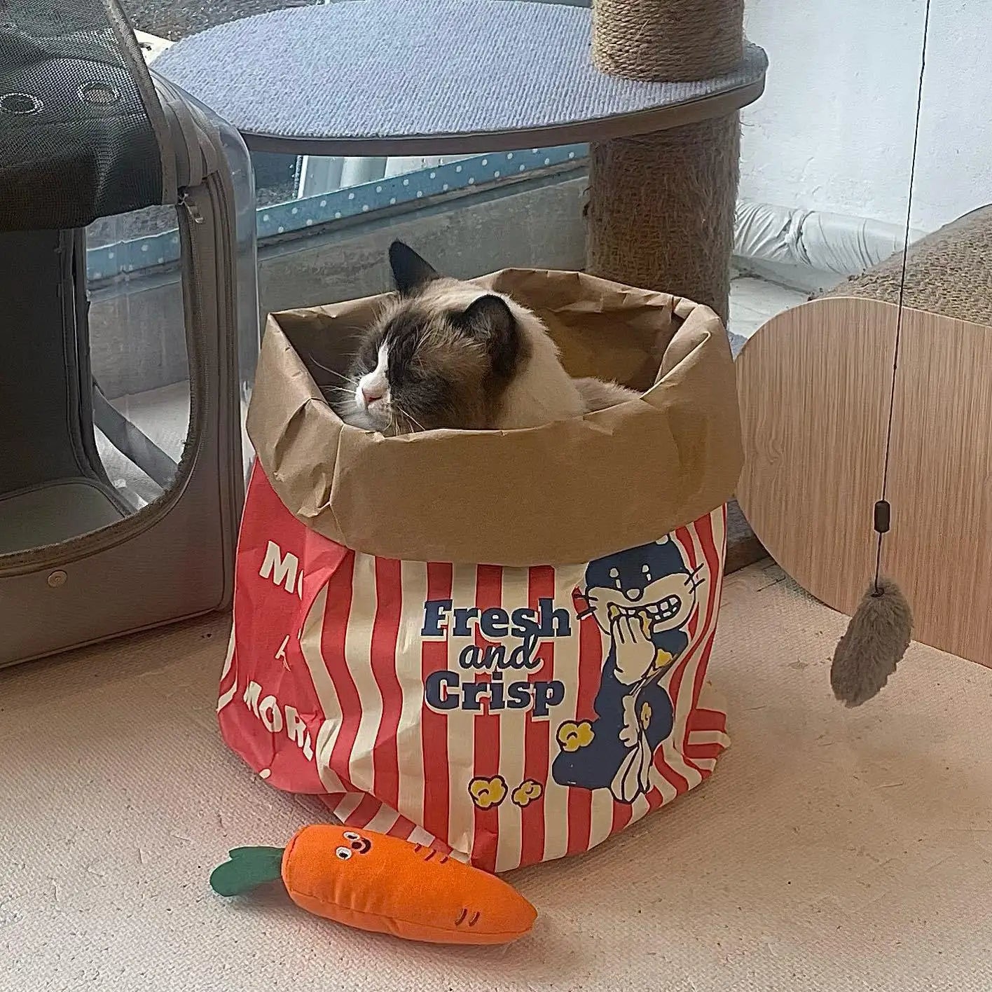 Paws & Popcorn Paper Cat Hideaway