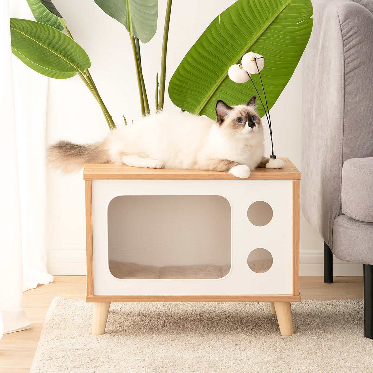 Pay-Purr View TV Cat Condo