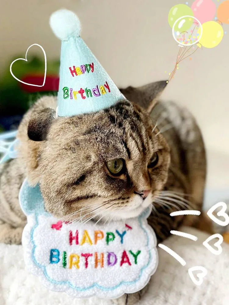 Kitty Birthday Hat & Bib Set