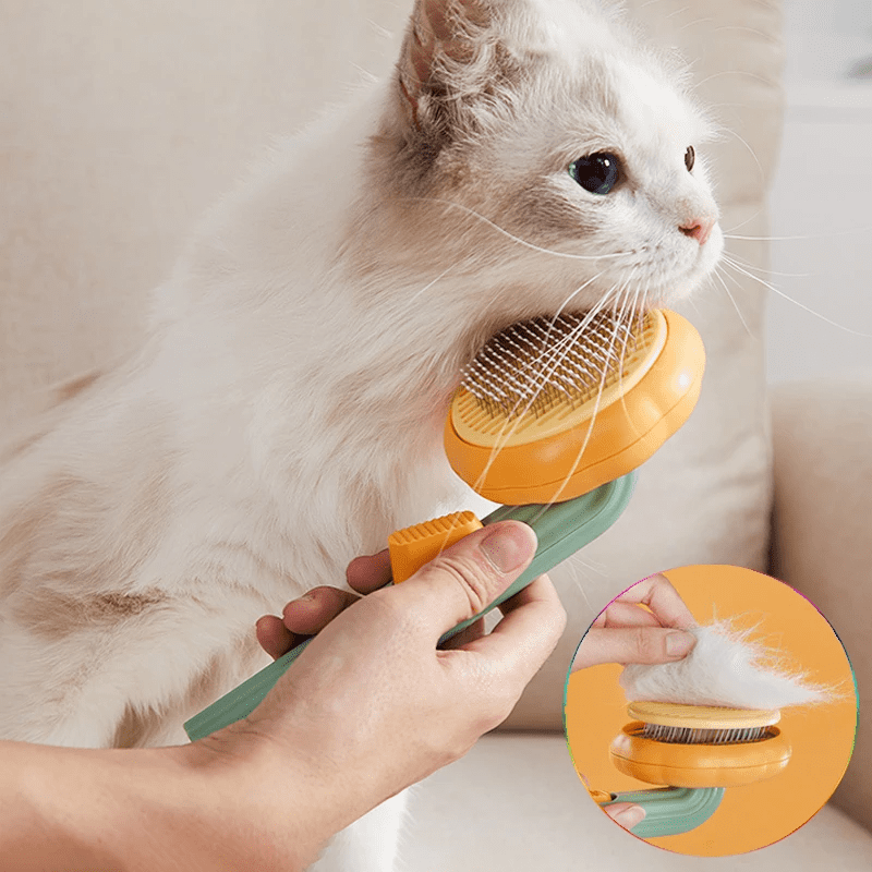 Purrfect Pumpkin Cat Brush