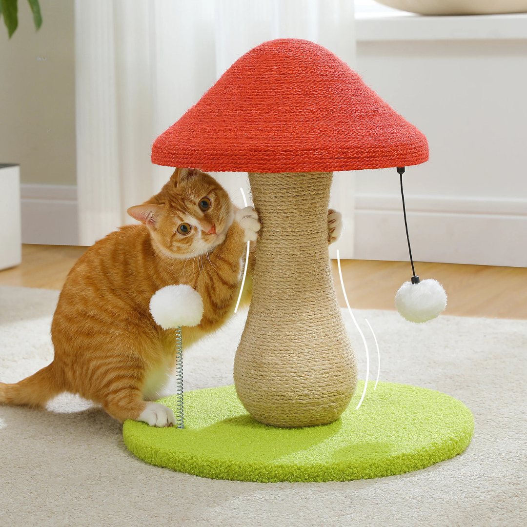 A mushroom-shaped cat scratching post with a vibrant red cap, sisal-wrapped base, and interactive pom-pom toys, displayed with an orange tabby cat playing nearby.