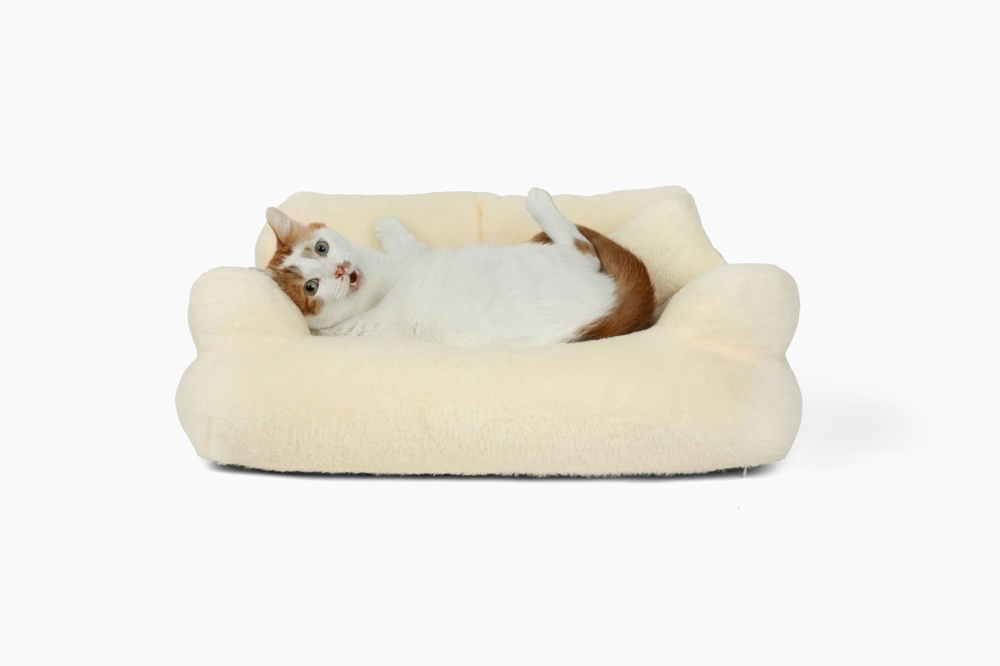 PlushPaws Cat Sofa Bed